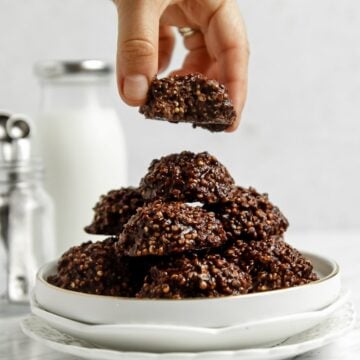 No-Bake Vegan Fudgy Quinoa Chia Bites