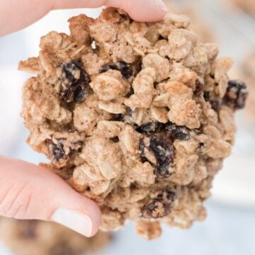 Oatmeal Raisin Cookie - close up held with hand