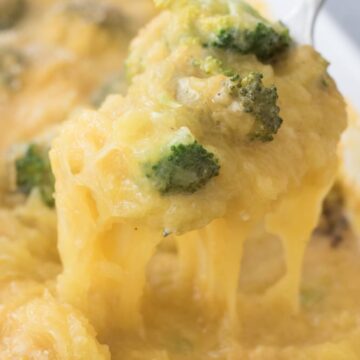 Close Up Shot of Vegan Cheesy Spaghetti Squash Bake