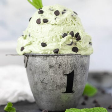 Vegan No-Churn Mint Chocolate Chip Ice Cream