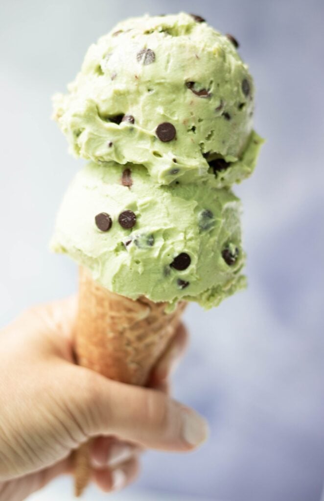 The Best Vegan Mint Chocolate Chip Ice Cream