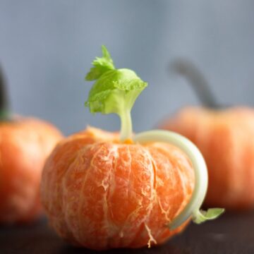 Easy Clementine Pumpkins