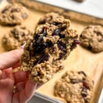 Dried Cranberry Chocolate Chunk Oatmeal Cookies