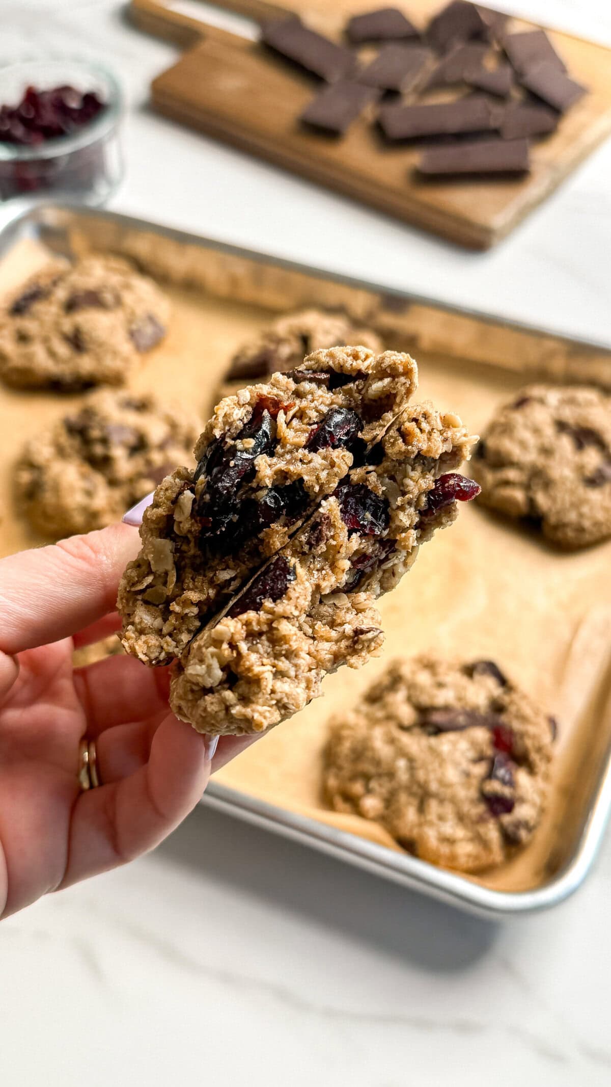 Dried Cranberry Chocolate Chunk Oatmeal Cookies