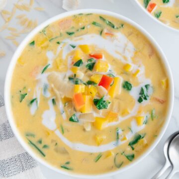 Gluten-Free Butternut Squash Orzo Soup