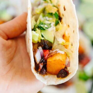 Vegetarian Taco Filling Recipe