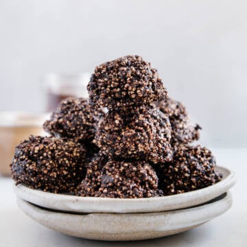 Fudgy Protein Amaranth Bites