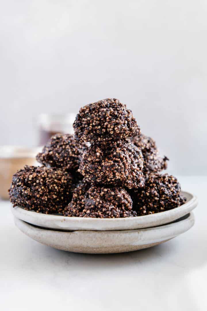 Fudgy Protein Amaranth Bites