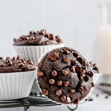 Gluten-free chocolate muffins topped with chocolate chips with a white background.
