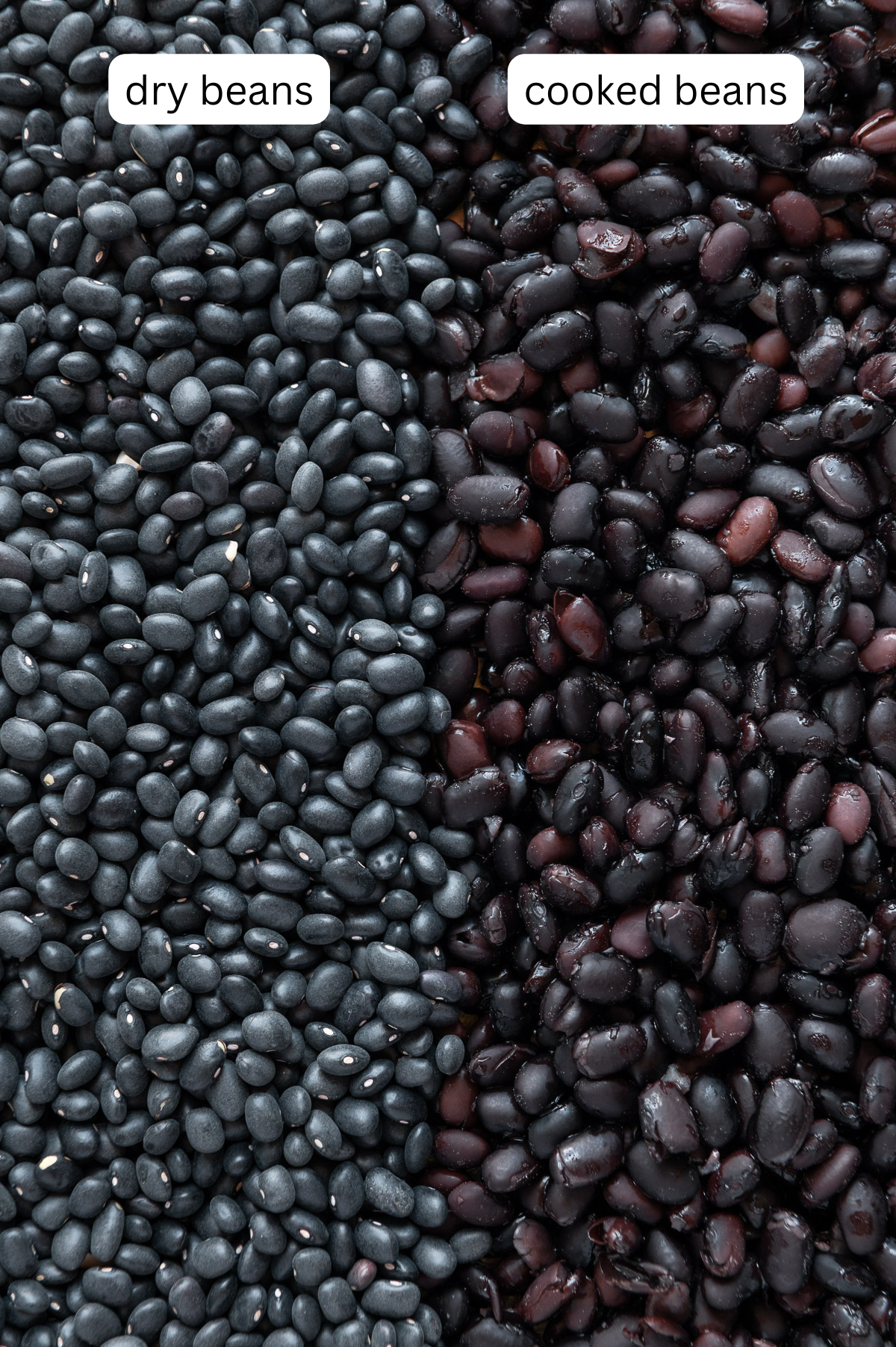 Side by side comparison of dry black beans and cooked black beans.