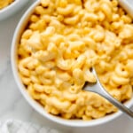 A bite of vegan mac and cheese on a fork over a white bowl of vegan mac and cheese.