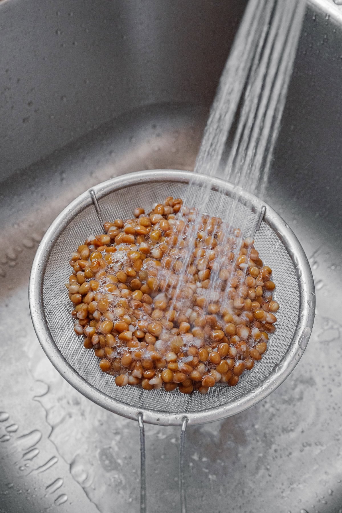 A metal strainer filled with brown lentils is held over a sink while water is being poured over them, rinsing the lentils in preparation for making crispy lentils.