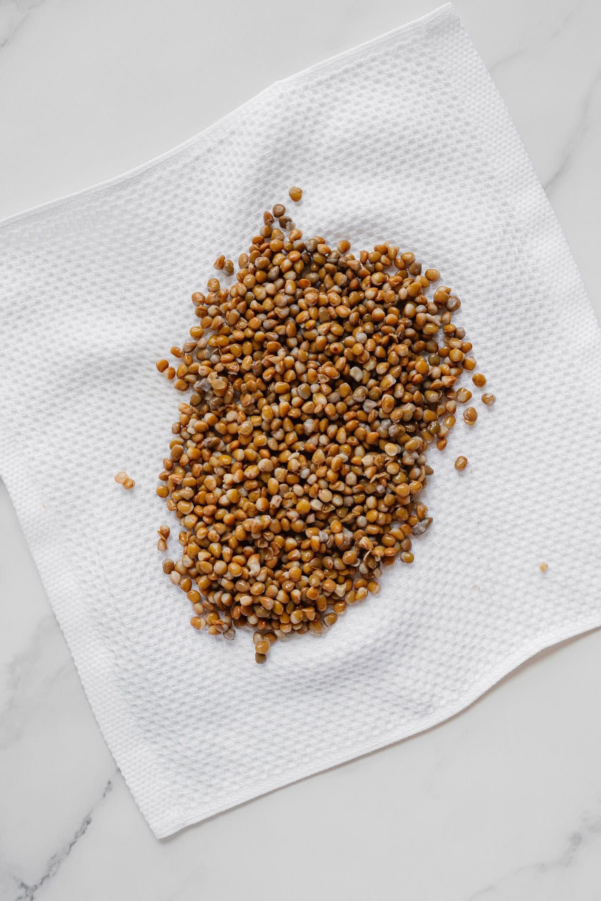 Brown seeds, resembling crispy lentils, are spread on a white textured paper towel, placed on a white marble surface.