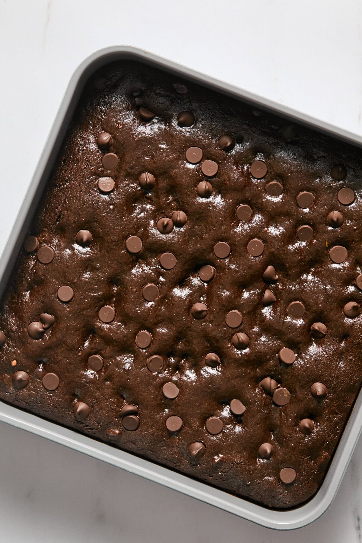 A square baking pan filled with freshly baked zucchini brownies, topped with scattered chocolate chips on a white surface.