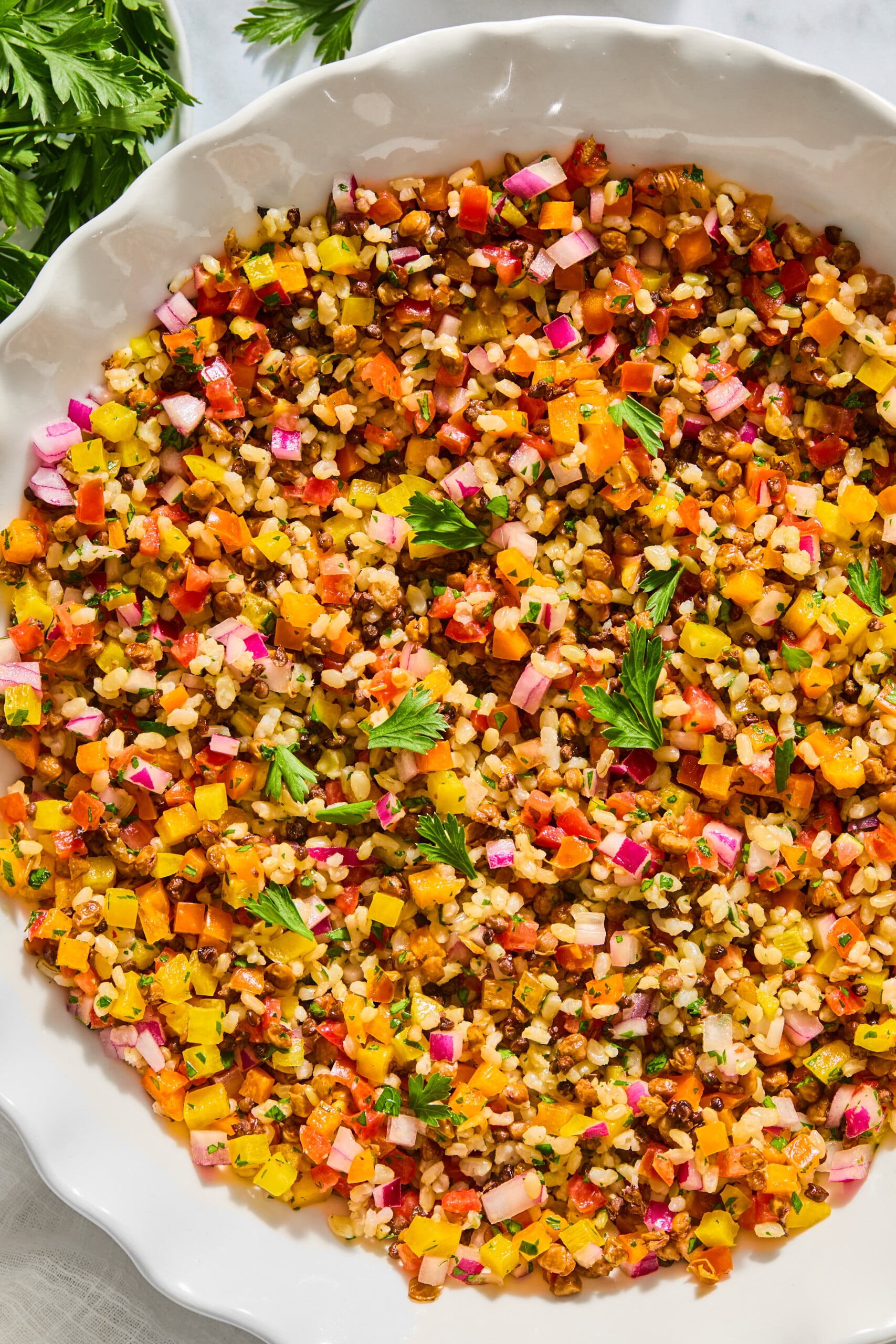 A close-up of a lentil rice salad with finely diced colorful vegetables and grains, including yellow, orange, pink, and green pieces, garnished with fresh parsley in a white dish.